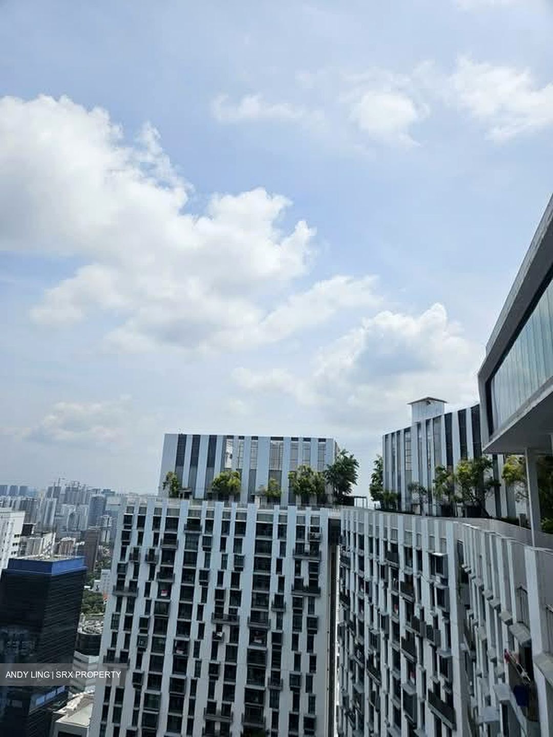 Blk 1D The Pinnacle@Duxton (Bukit Merah), HDB 5 Rooms #596577481